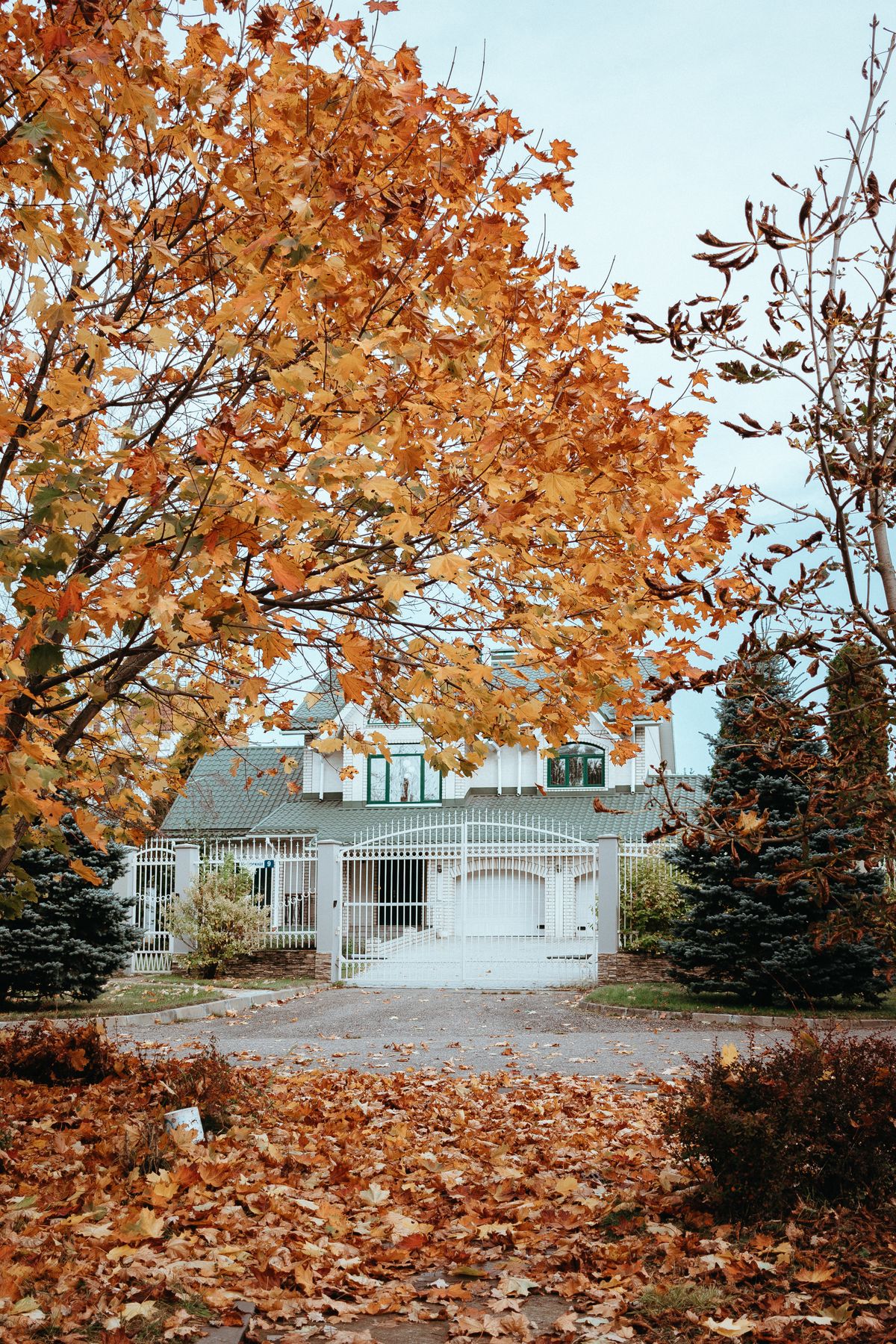 Seasonal yard cleanup, fall leaves